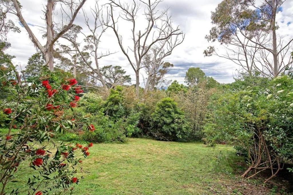 The Black Cockatoo - Secret Garden Treetops Home Katoomba Extérieur photo