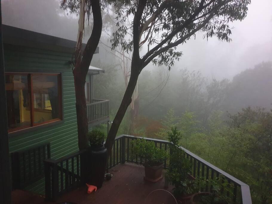The Black Cockatoo - Secret Garden Treetops Home Katoomba Extérieur photo