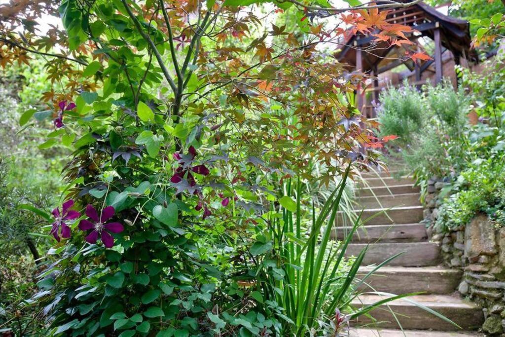 The Black Cockatoo - Secret Garden Treetops Home Katoomba Extérieur photo