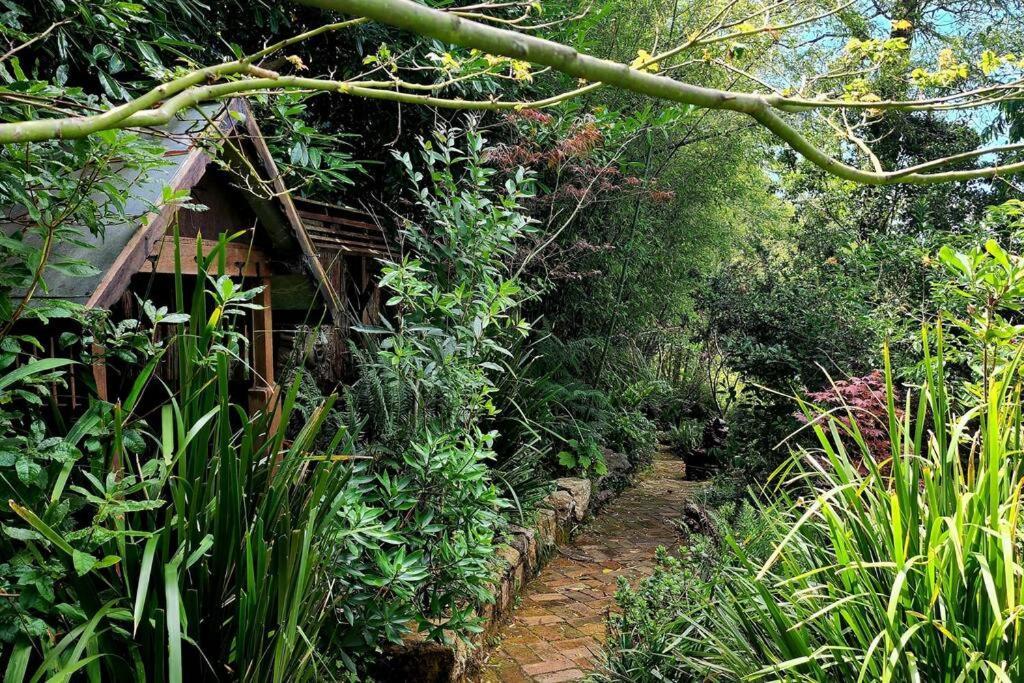 The Black Cockatoo - Secret Garden Treetops Home Katoomba Extérieur photo