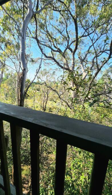The Black Cockatoo - Secret Garden Treetops Home Katoomba Extérieur photo
